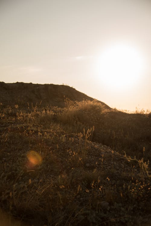 Low-Angle Shot of Grass Field on Mountain during Sunset