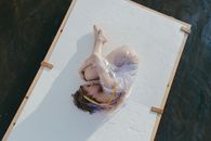 A Woman in White Swimsuit and Covered with Plastic