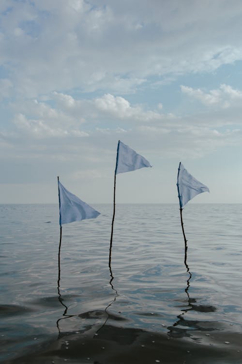 Three Sticks with Blue Flags Stuck in a Body of Water 