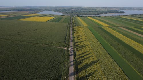 Aerial View of a Green Field