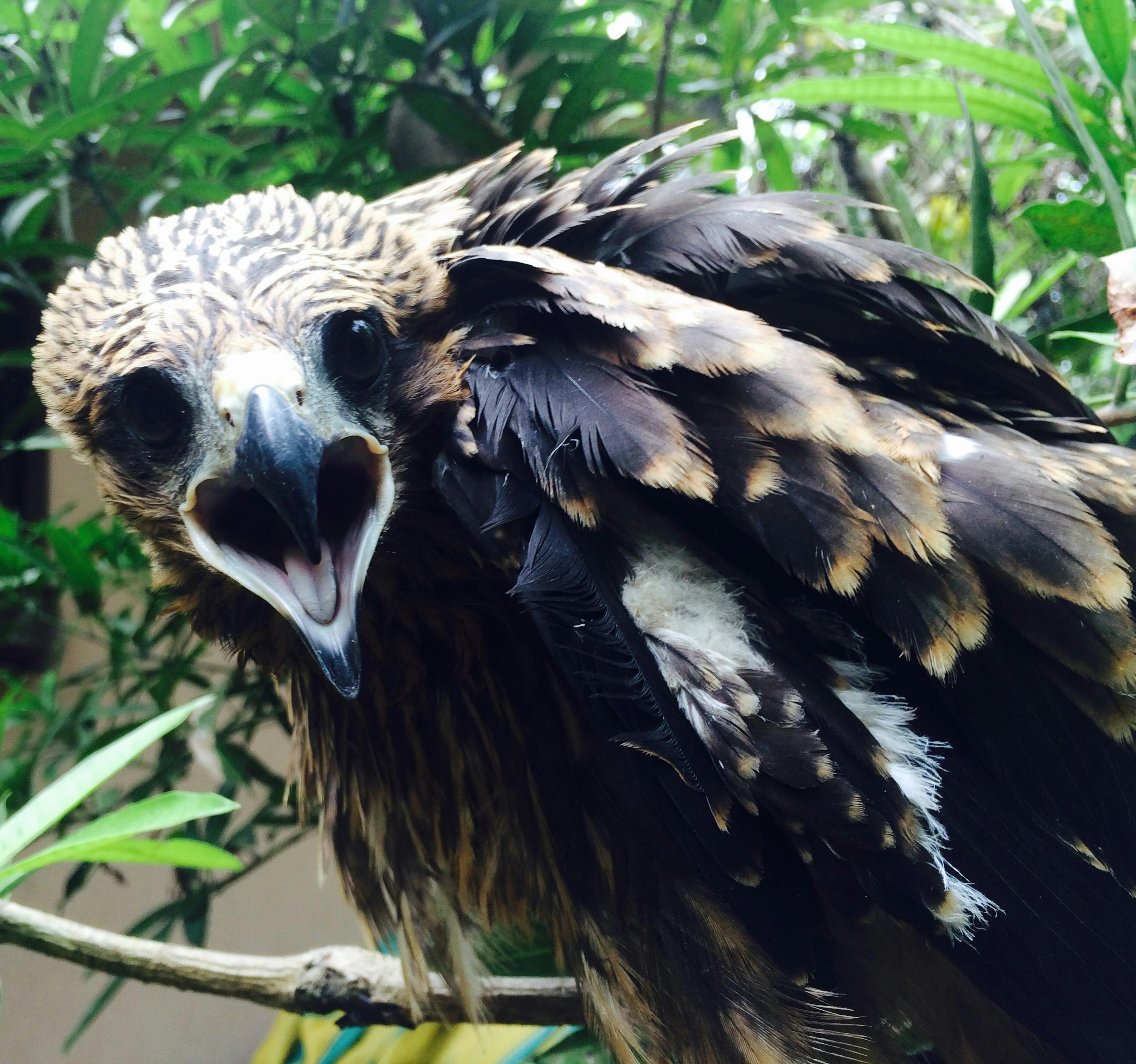 Sân Bay Vân Đồn