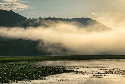 Imagine de stoc gratuită din ceață, contur, fotografie cu natură