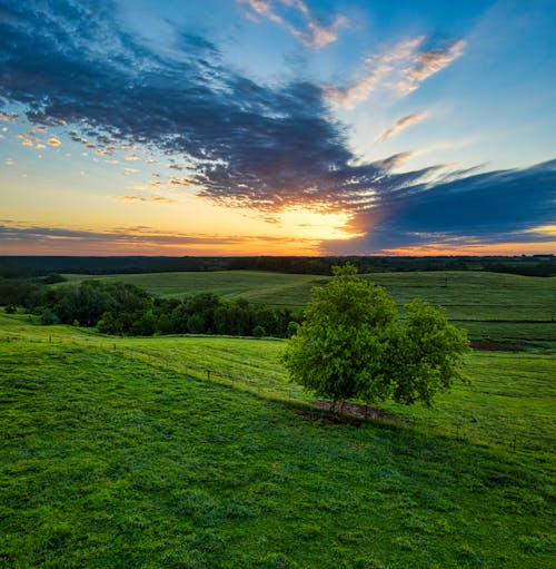 Kostenloses Stock Foto zu ackerland, außerorts, blauer himmel