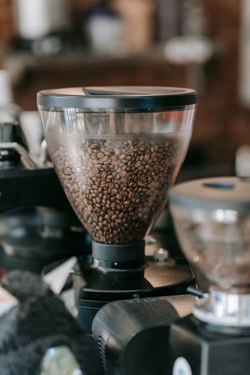 Close-up of Coffee Beans in a Coffee Grinder 