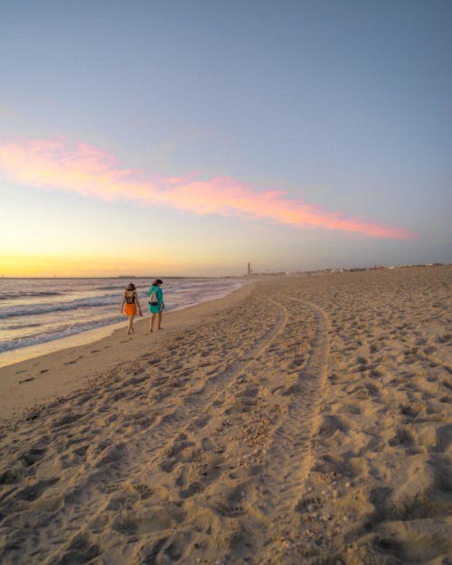 Free People Walking on Beach during Sunset Stock Photo