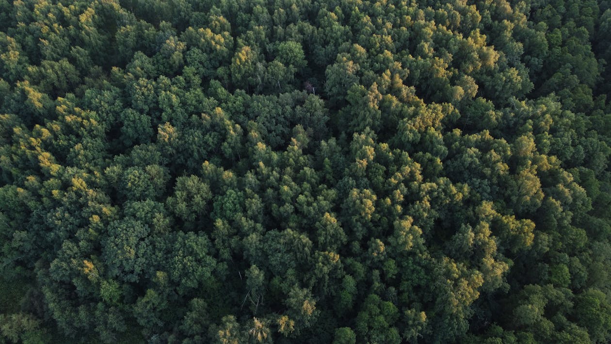 Fotobanka s bezplatnými fotkami na tému fotografia prírody, krajina, letecké snímkovanie