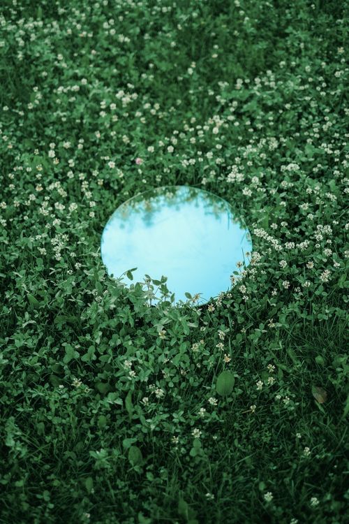 Free Round mirror placed on grass surrounded by small white flowers, reflecting the clear sky. Stock Photo