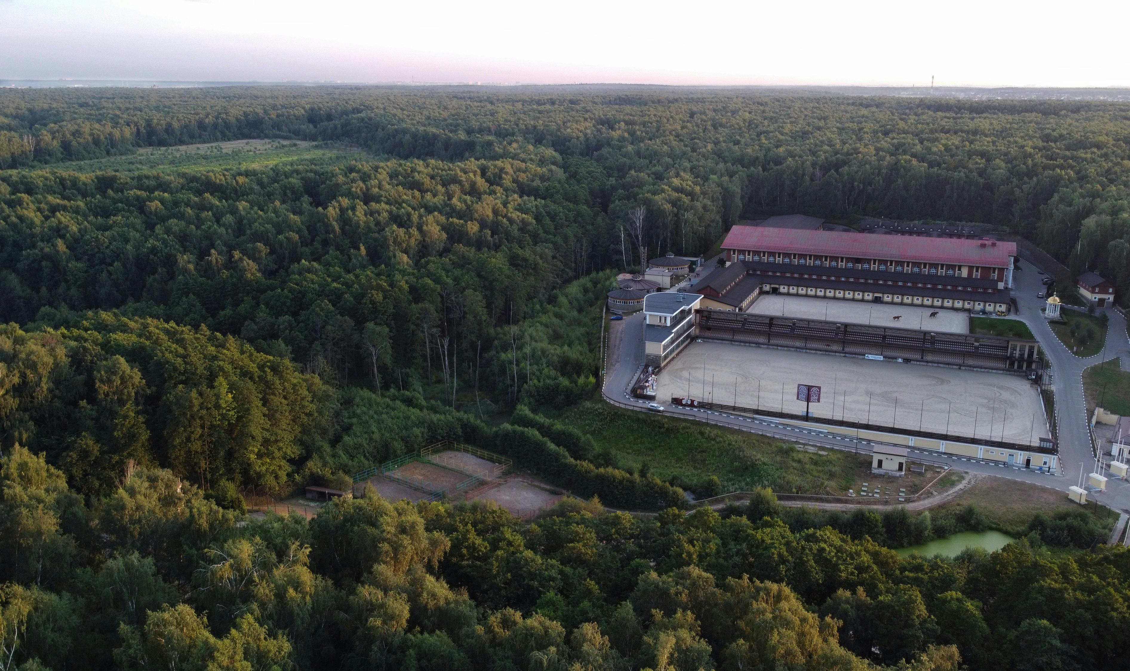 婚程序中的法庭听证和裁决
