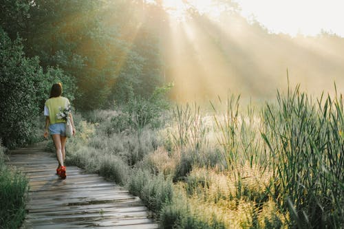 Person Walking on Wooden Pathway Between Green Grass