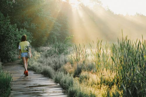 Free A woman enjoys a peaceful walk on a wooden path in a sunlit forest, surrounded by lush greenery. Stock Photo