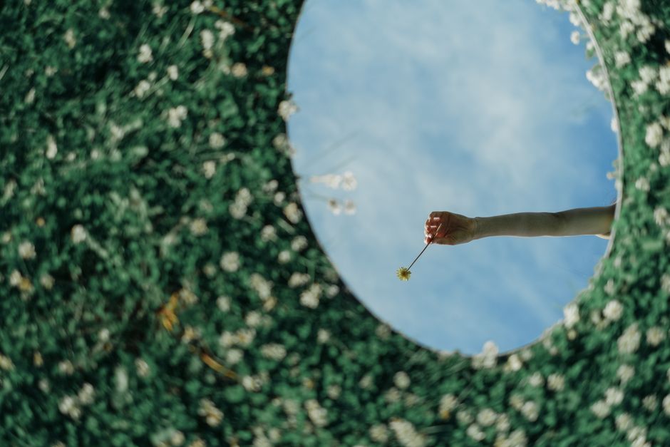 A hand holding a flower is creatively reflected in a circular mirror placed in a field of chamomile flowers.