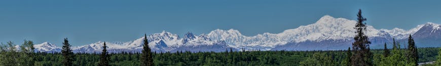 湛蓝的天空下，雪山和森林的全景令人惊叹