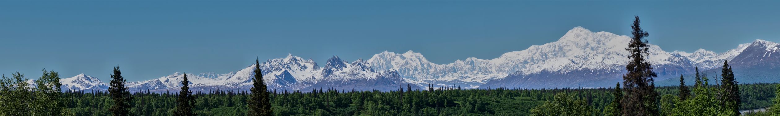 Breathtaking panorama of snow-capped mountains and forest under clear blue sky.