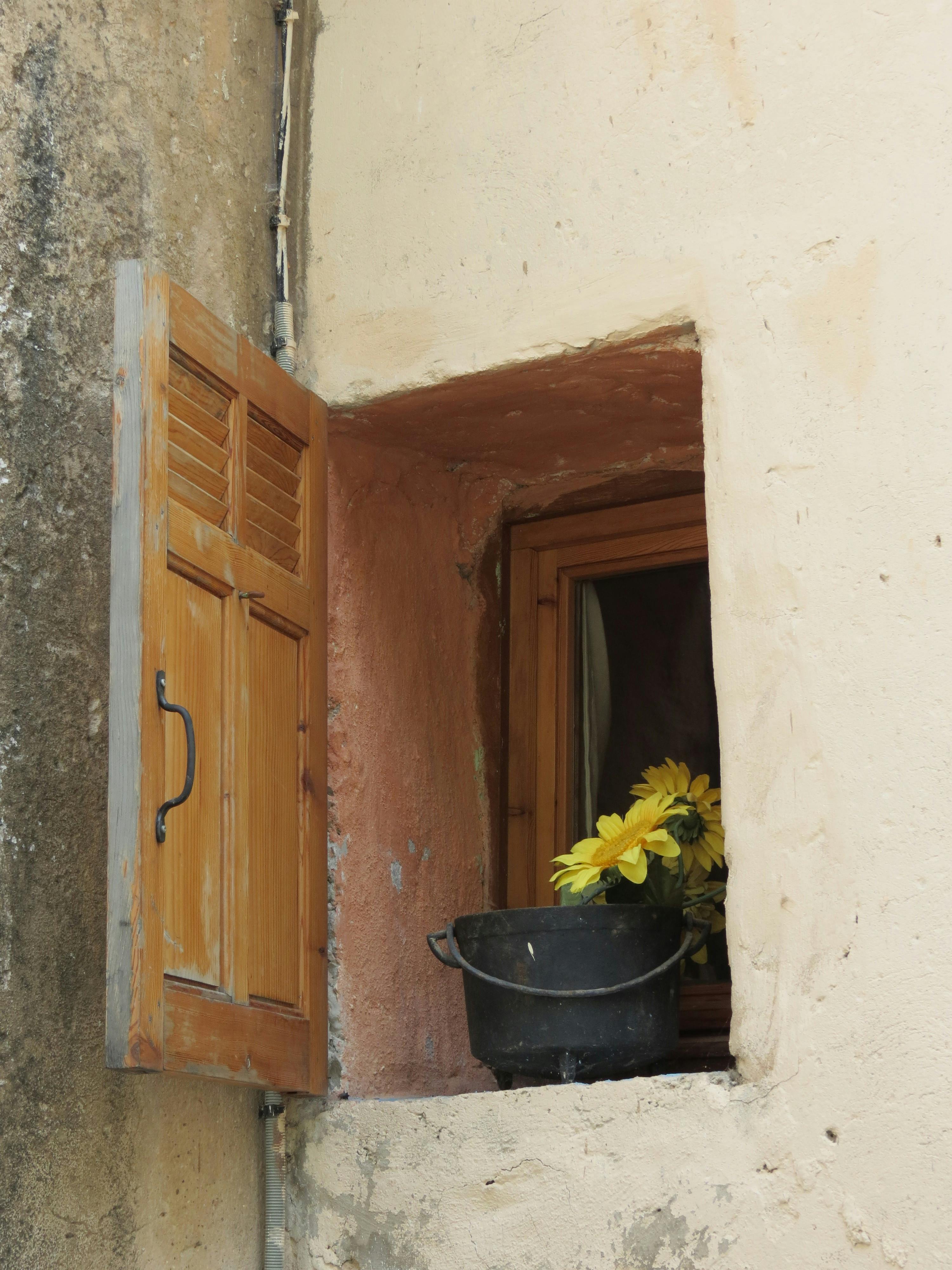 Free stock photo of flower, village, wooden window