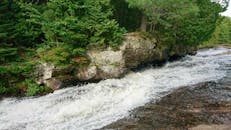一条充满活力的森林溪流，水流快速流过岩石，四周环绕着郁郁葱葱的绿色植物