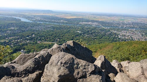 Landscape View