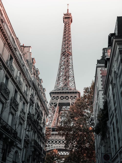 Free Low Angle Shot of Eiffel Tower  Stock Photo
