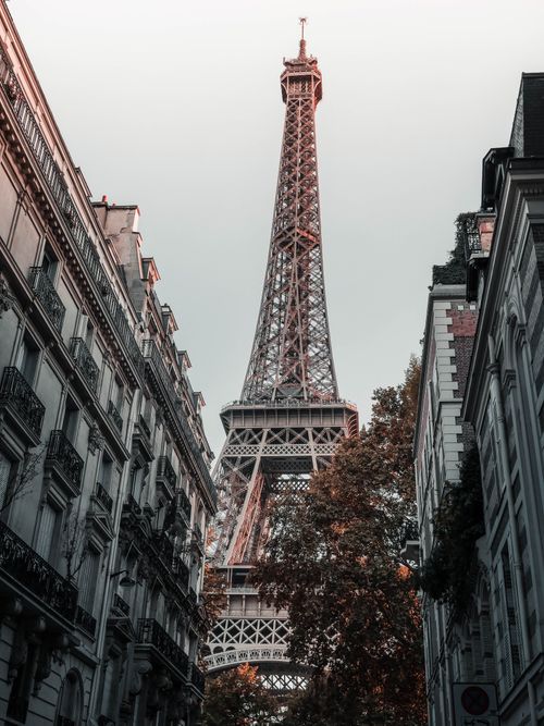 Free Captivating low angle view of the Eiffel Tower framed by Parisian buildings in autumn. Stock Photo