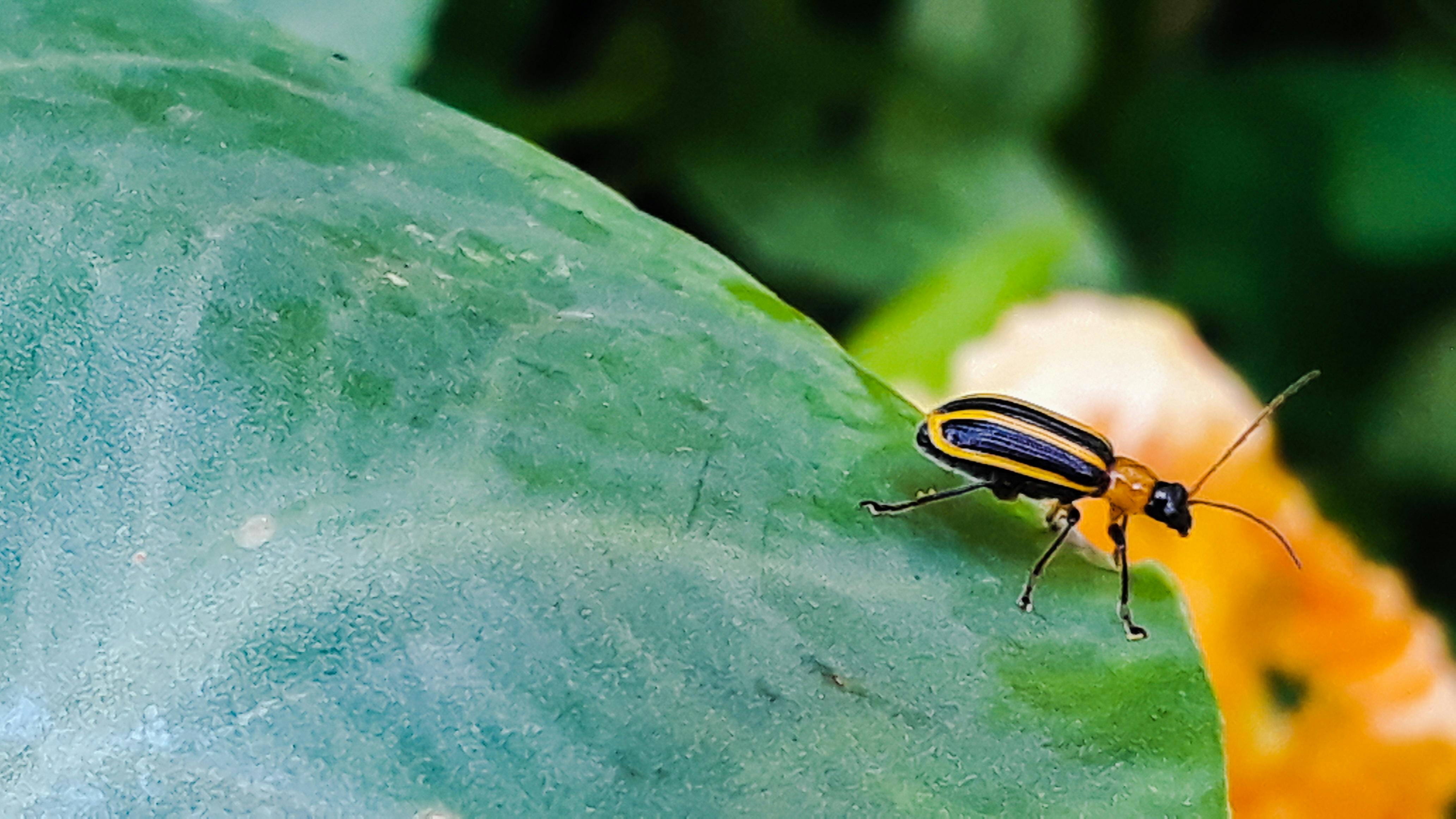 Central Air Conditioning Installation