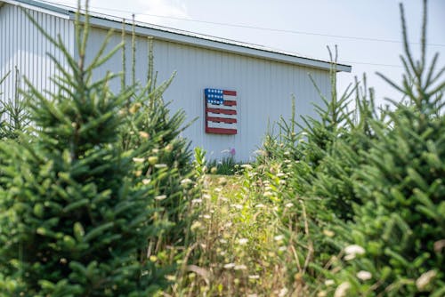 Kostenloses Stock Foto zu gebäude, scheune, us-flagge