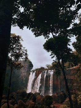 Peaceful waterfall cascading amidst dense forest capturing nature's raw beauty.