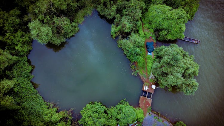 Aerial Shot Of A Marsh Land