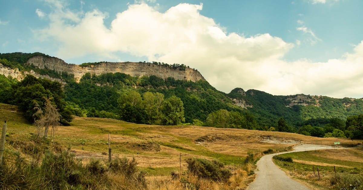 Explore the picturesque landscape of Vall de Sau Collsacabra with its lush greenery and rugged cliffs.