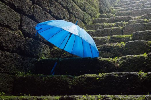 A vibrant blue umbrella resting on moss-covered stone stairs, wet from rain.
