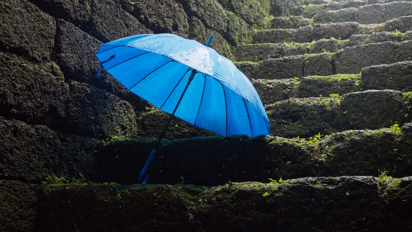 Rain Gear That Actually Keeps You Dry on the Trail