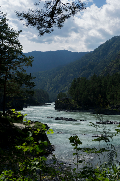 Free A serene mountain river flowing through a lush, forested landscape on a sunny day. Stock Photo