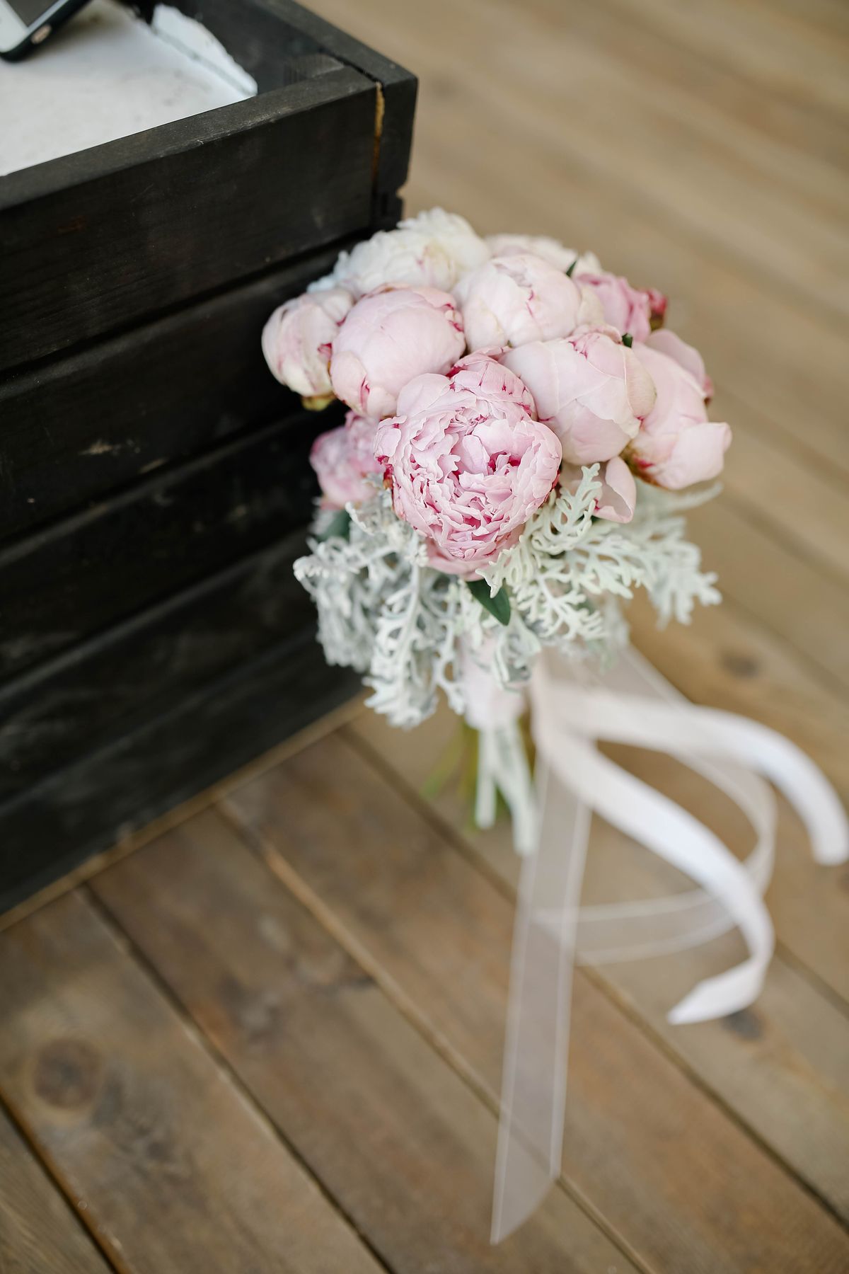 Velvet Peony