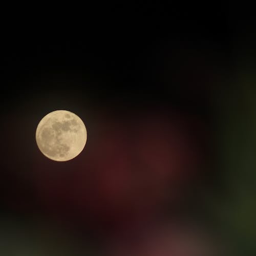 ay fotoğrafçılığı, Dolunay, gece içeren Ücretsiz stok fotoğraf
