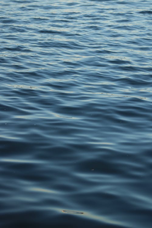 Free Small Ripples on The Water Surface Stock Photo