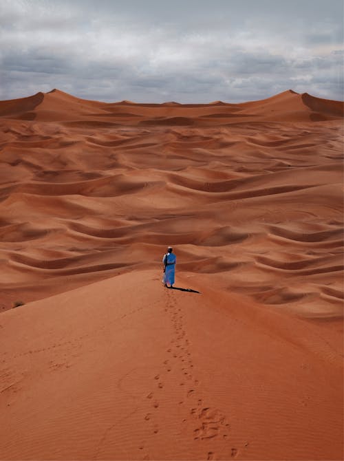 De franc Foto d'estoc gratuïta de caminant, desert, dunes de sorra Foto d'estoc
