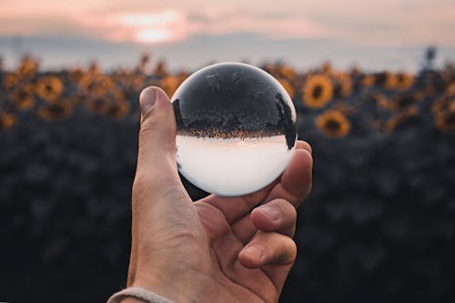 Free Close-up Shot of a Person Holding a Lensball Stock Photo