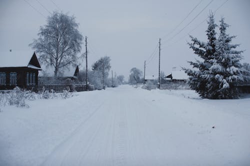 Snow Covered Road Between Houses