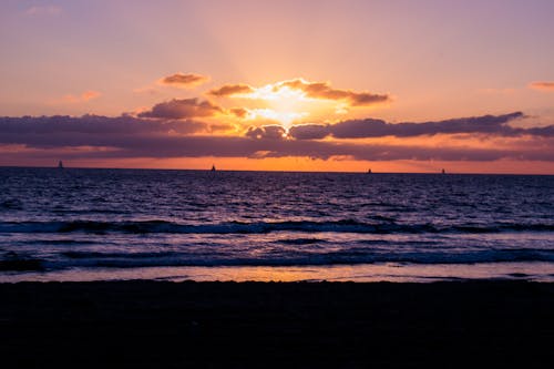 無料 日没時のビーチサイド写真 写真素材