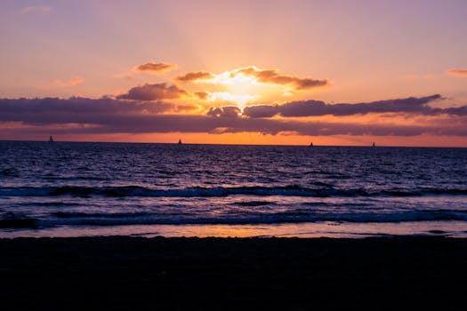image.mefiz.com