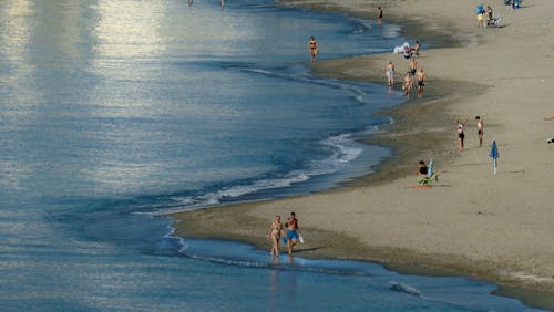 Free stock photo of people walking, sea shore