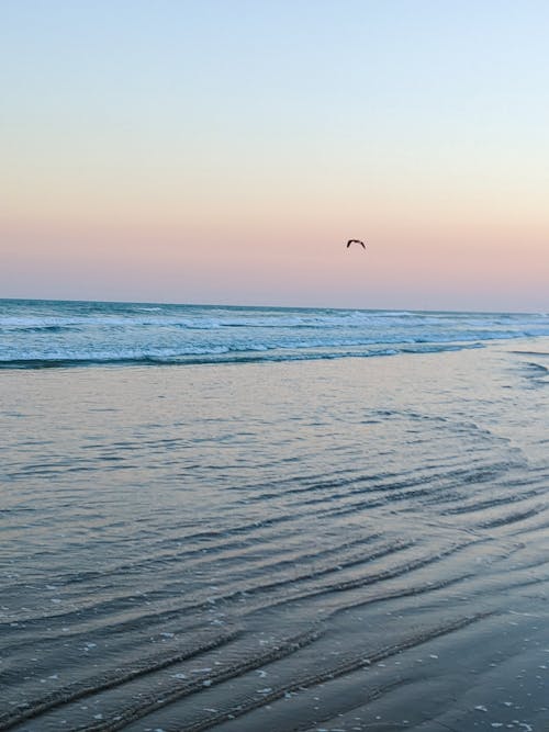 Fotobanka s bezplatnými fotkami na tému exteriéry, horizont, krajina pri mori