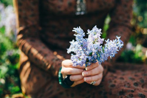 Person Holding Blue Flowers