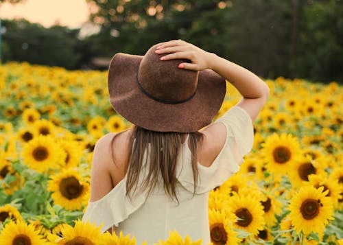 Free Photo of Woman in a Sunflower Field Stock Photo