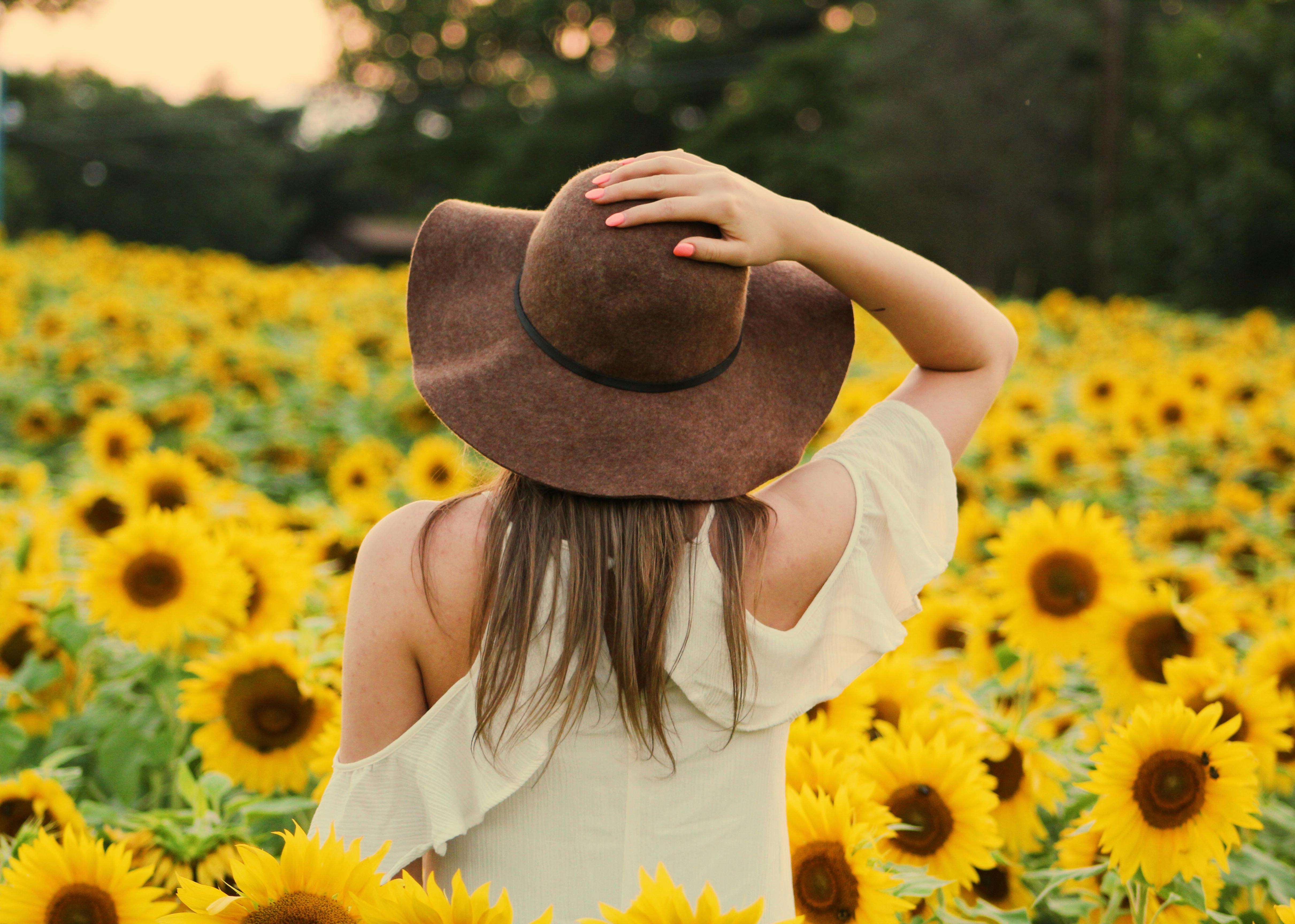 Photo of Woman in a Sunflower Field · Free Stock Photo
