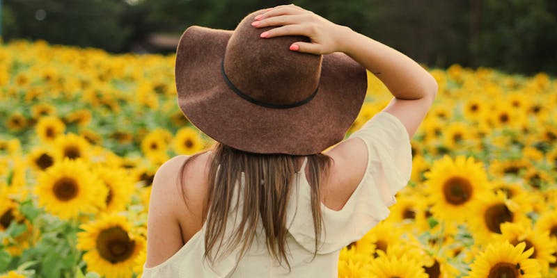 The Psychology of Habit Formation: Why We Do What We Do