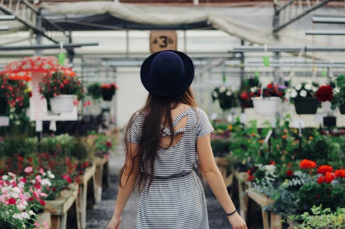 Woman Walking Between Display of Flowers and Plants