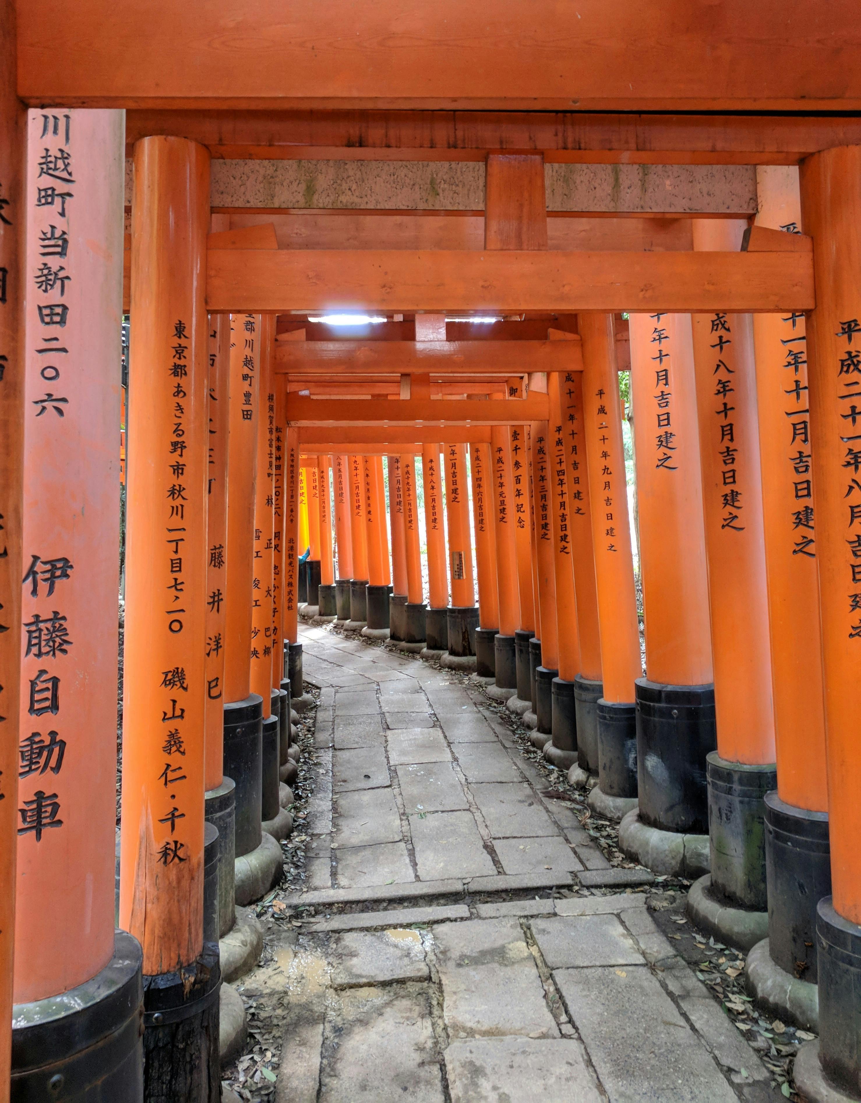 Free stock photo of Fushimi Inari-taisha, japanese temple gates, torri