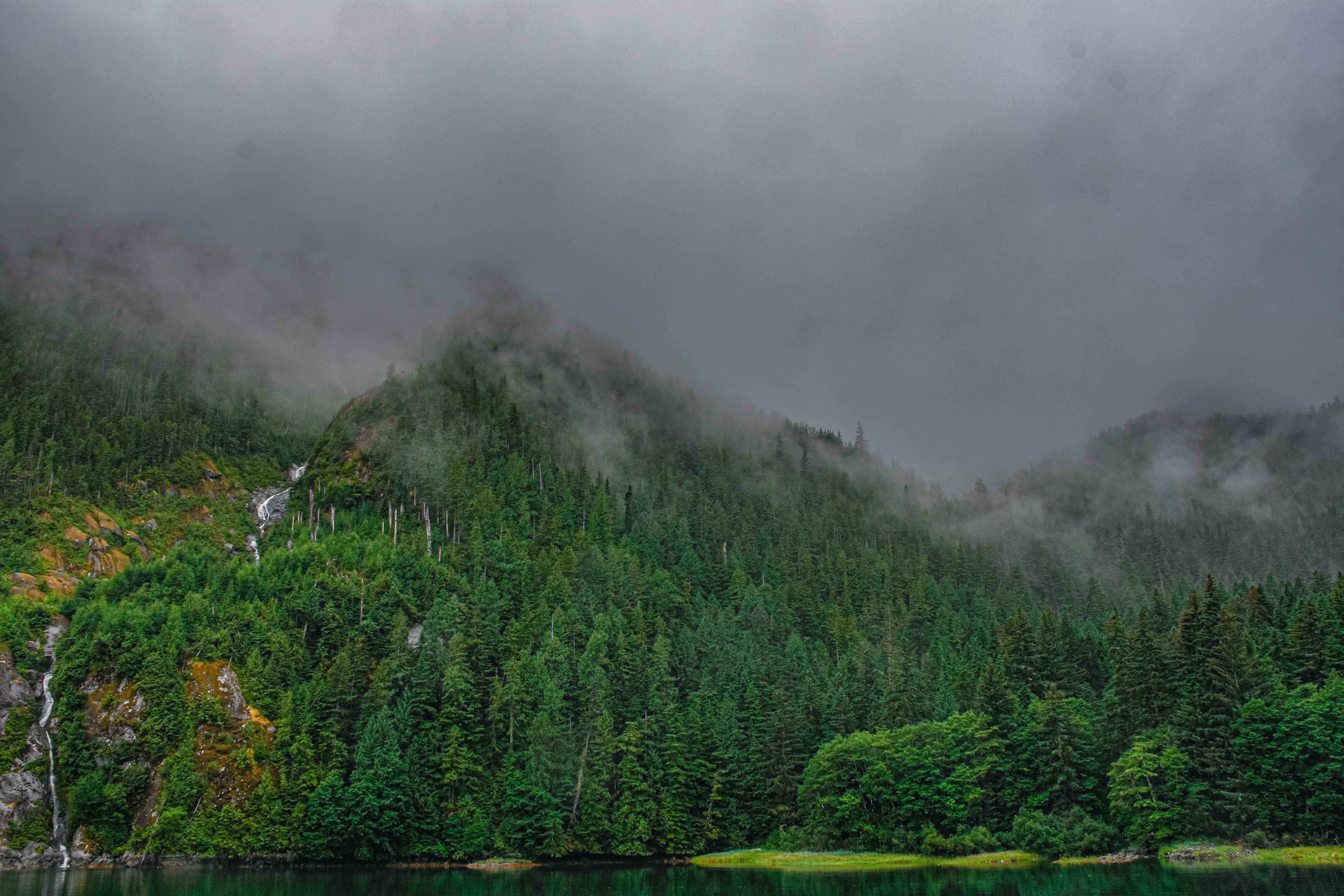 A Green Trees on Mountain Under the Cloudy Sky · Free Stock Photo