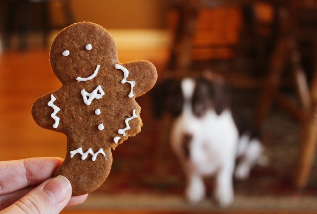 Free Close-up Photography of Gingerbread Stock Photo