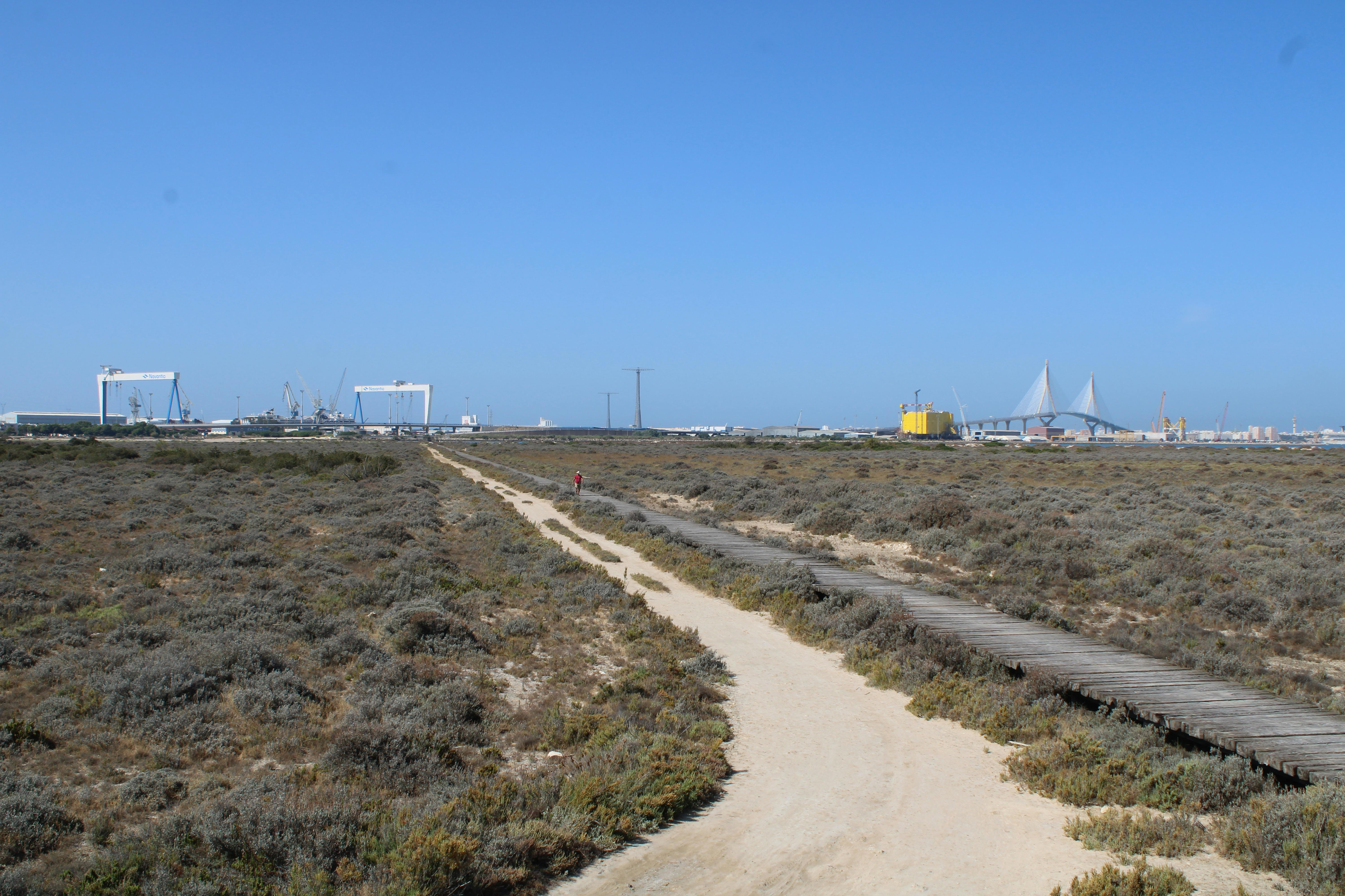 ultimo tramo antes de llegar al mirador de la punta de los saboneses