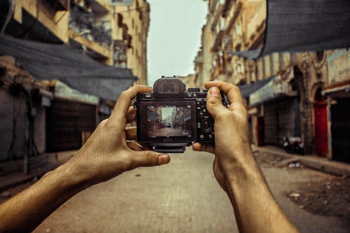 Imagine de stoc gratuită din aparat foto digital, atenție superficială, face o fotografie